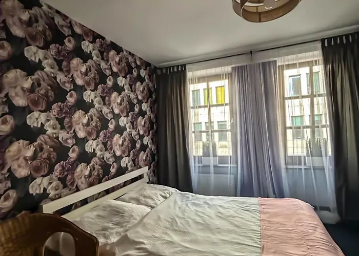 Auberge de jeunesse Sunny 49